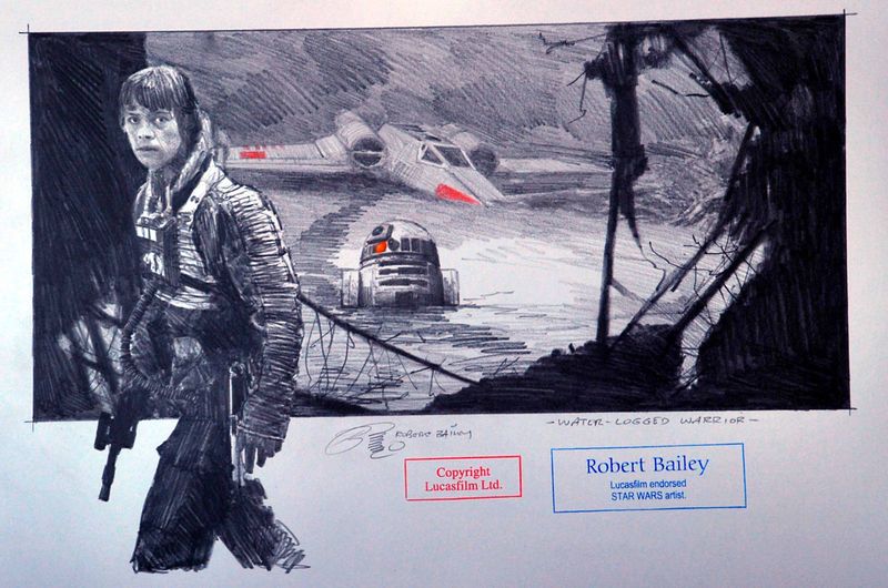 WATER-LOGGED WARRIOR.