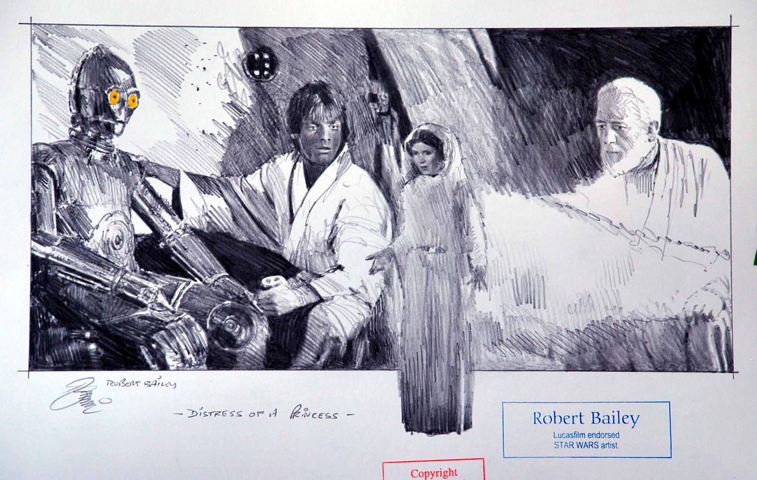 DISTRESS OF A PRINCESS.