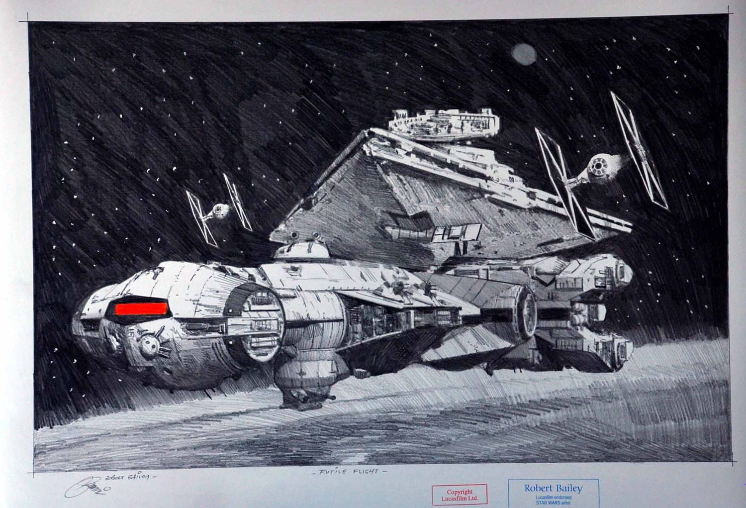 FUTILE FLIGHT.  (Medium Size).