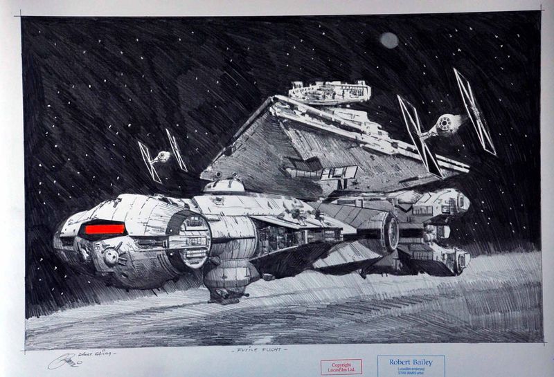 FUTILE FLIGHT.  (Medium Size).