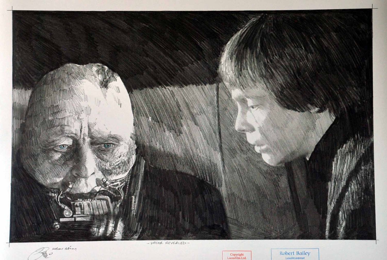 VADER REVEALED.  (Medium Size).