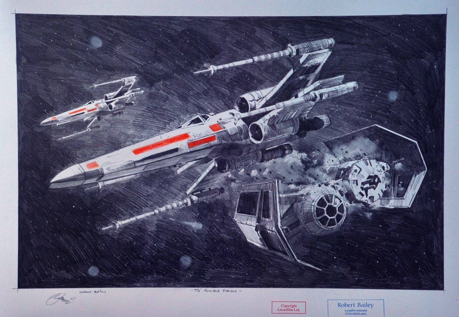 TIE BOMBER TANGLE.  (Medium Size).