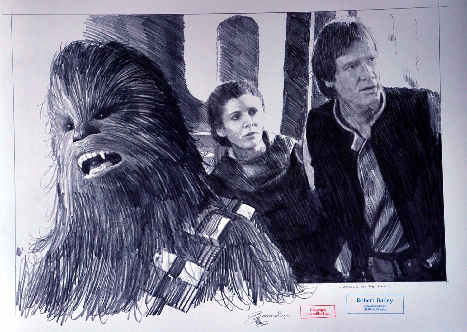 REBELS ON THE RUN.  (Medium Size).