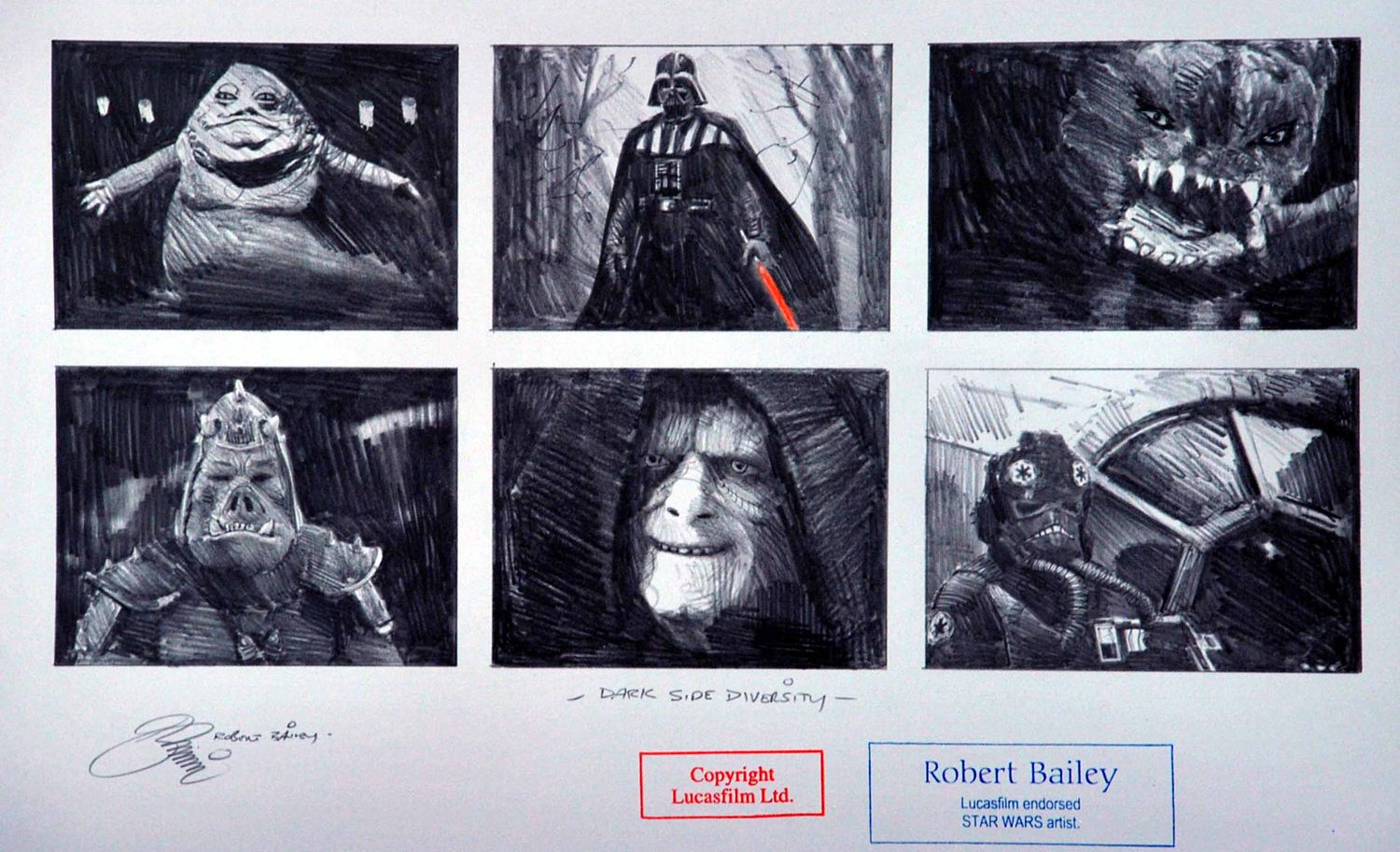 DARK SIDE DIVERSITY.