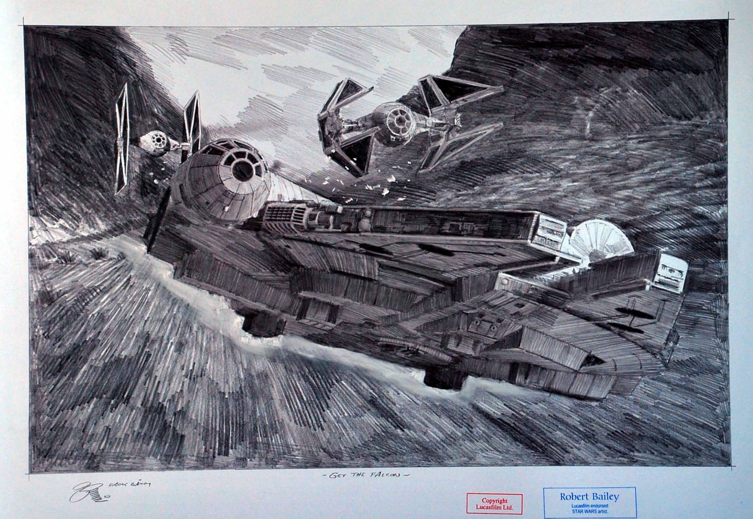 GET THE FALCON.  (Medium Size).