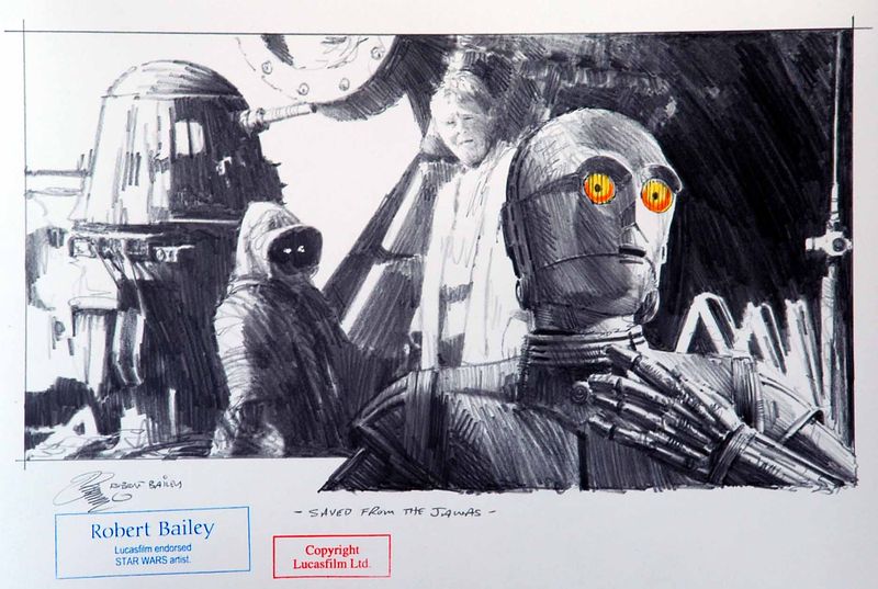 SAVED FROM THE JAWAS.