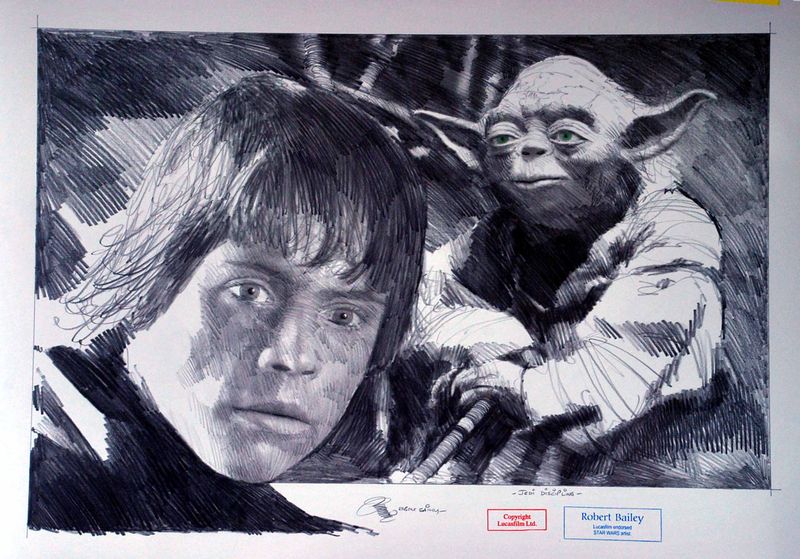 JEDI DISCIPLINE.  (Medium Size).