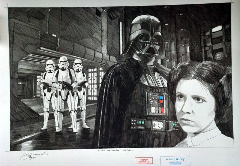 VADER THE VALIANT VICTOR.  (Medium Size).