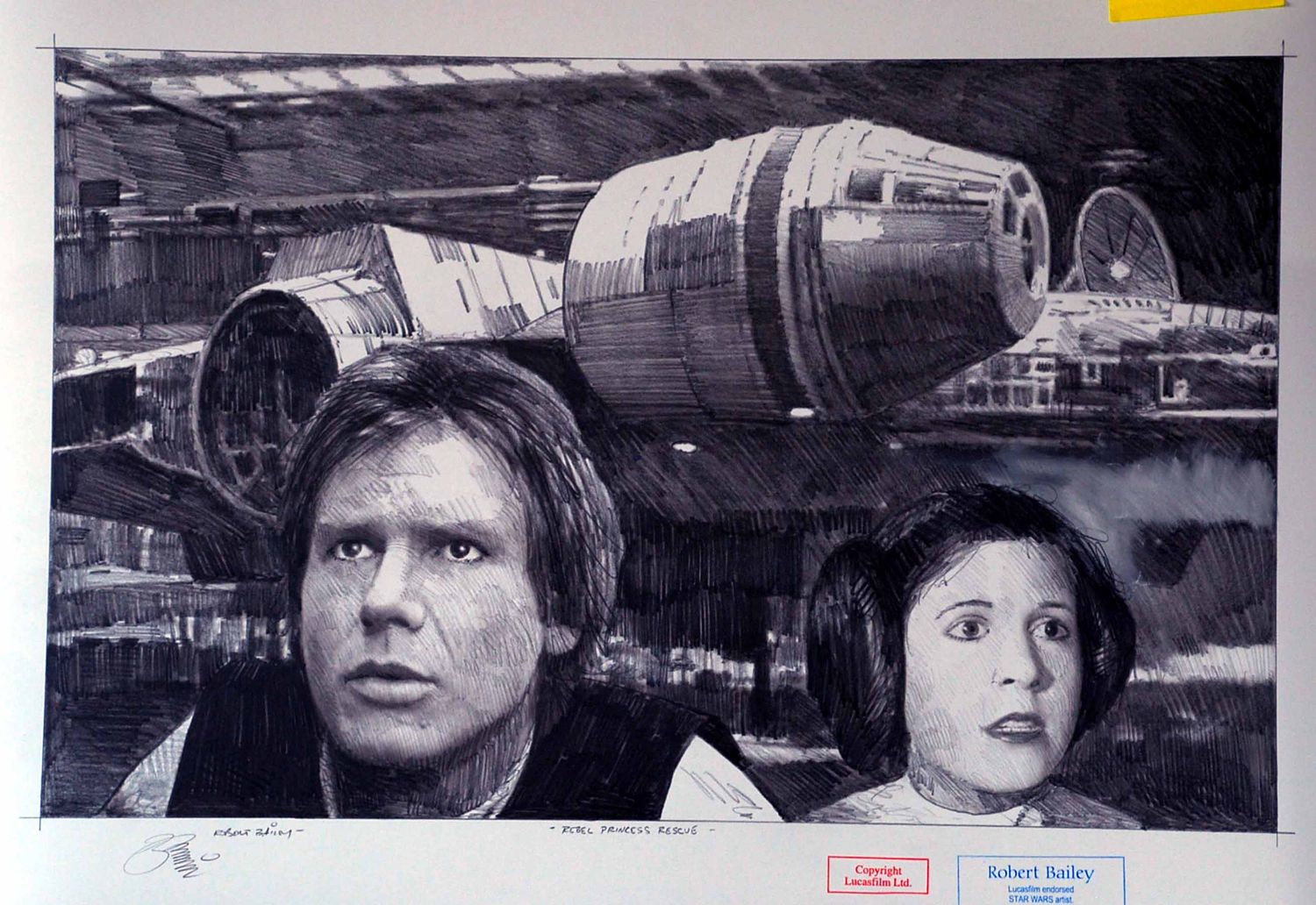 REBEL PRINCESS RESCUE.  (Medium Size).