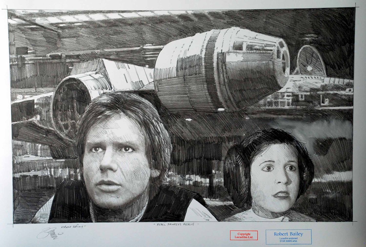 REBEL PRINCESS RESCUE.  (Medium Size).