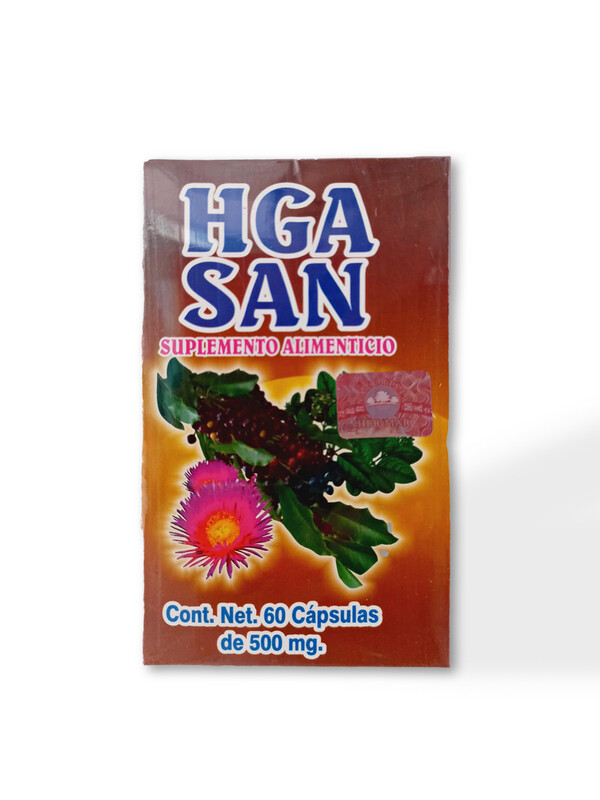 HGA SAN