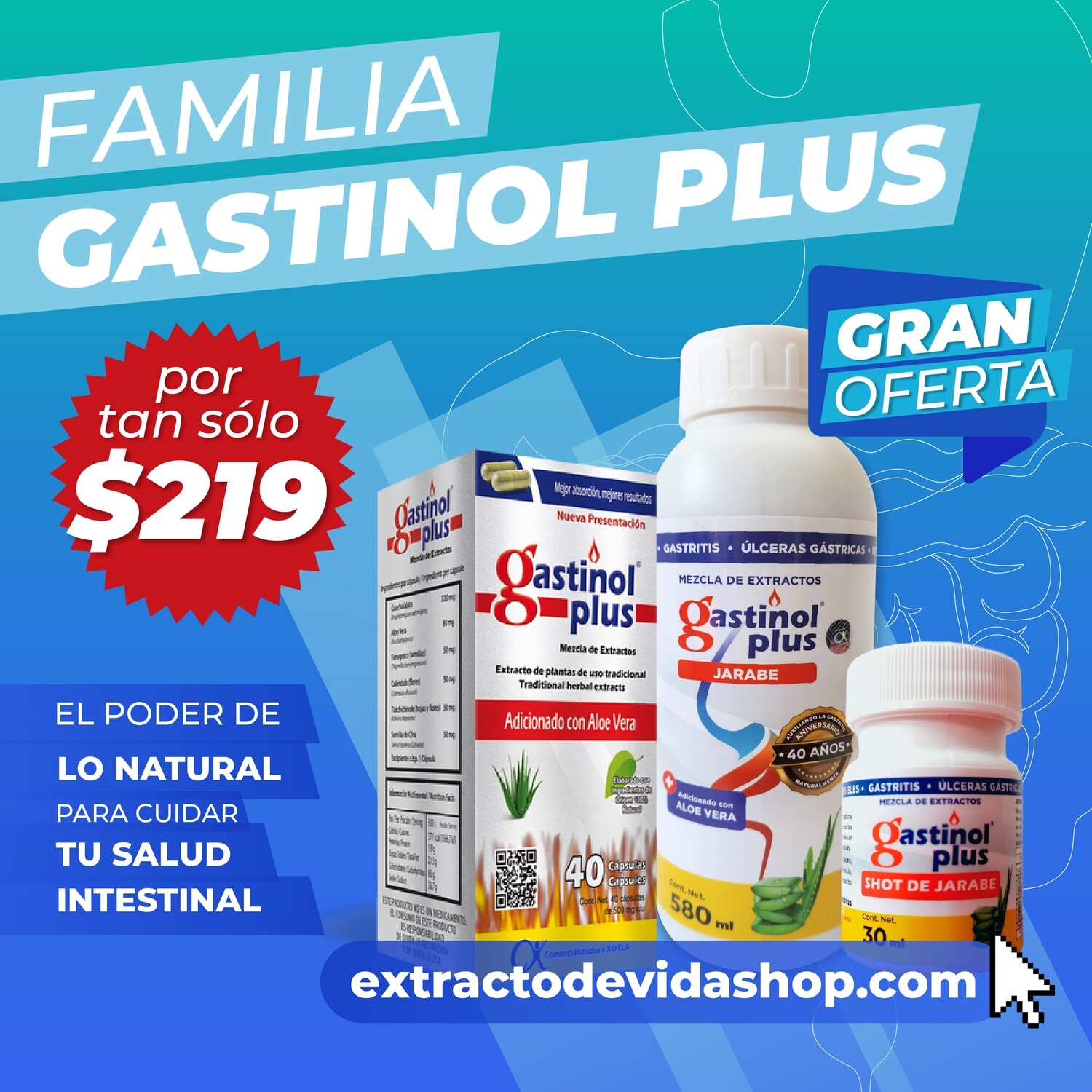 FAMILIA GASTINOL PLUS