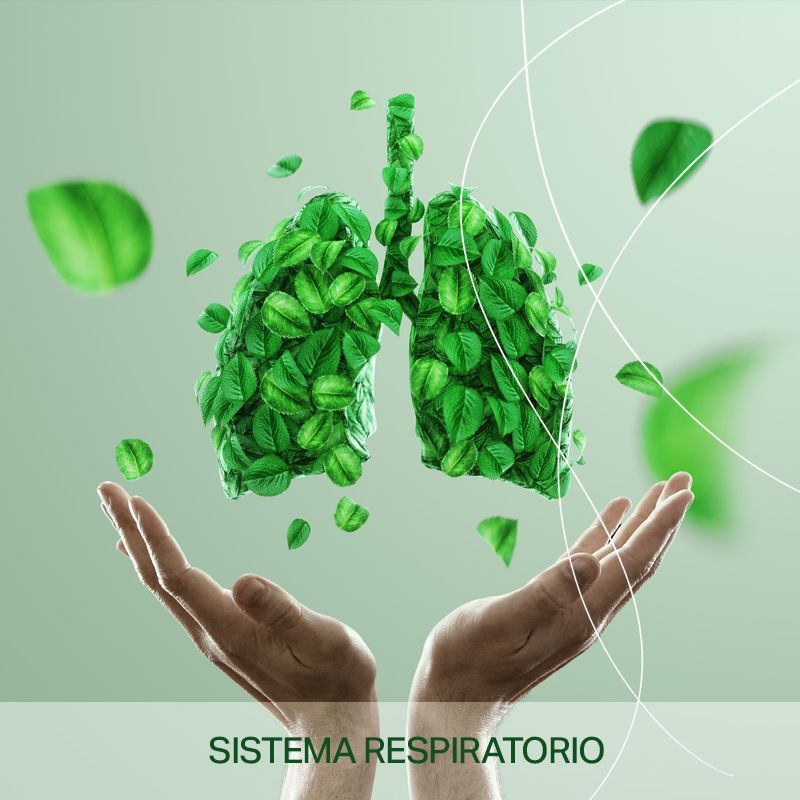 SISTEMA RESPIRATORIO