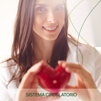 SISTEMA CIRCULATORIO