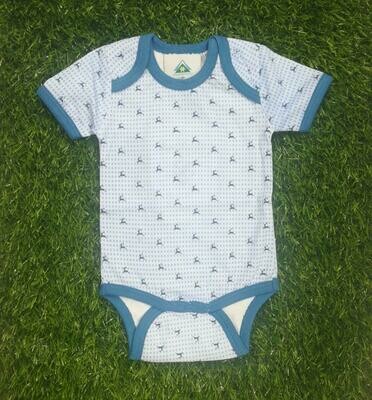 Hirsch  body blu 62, €12,90