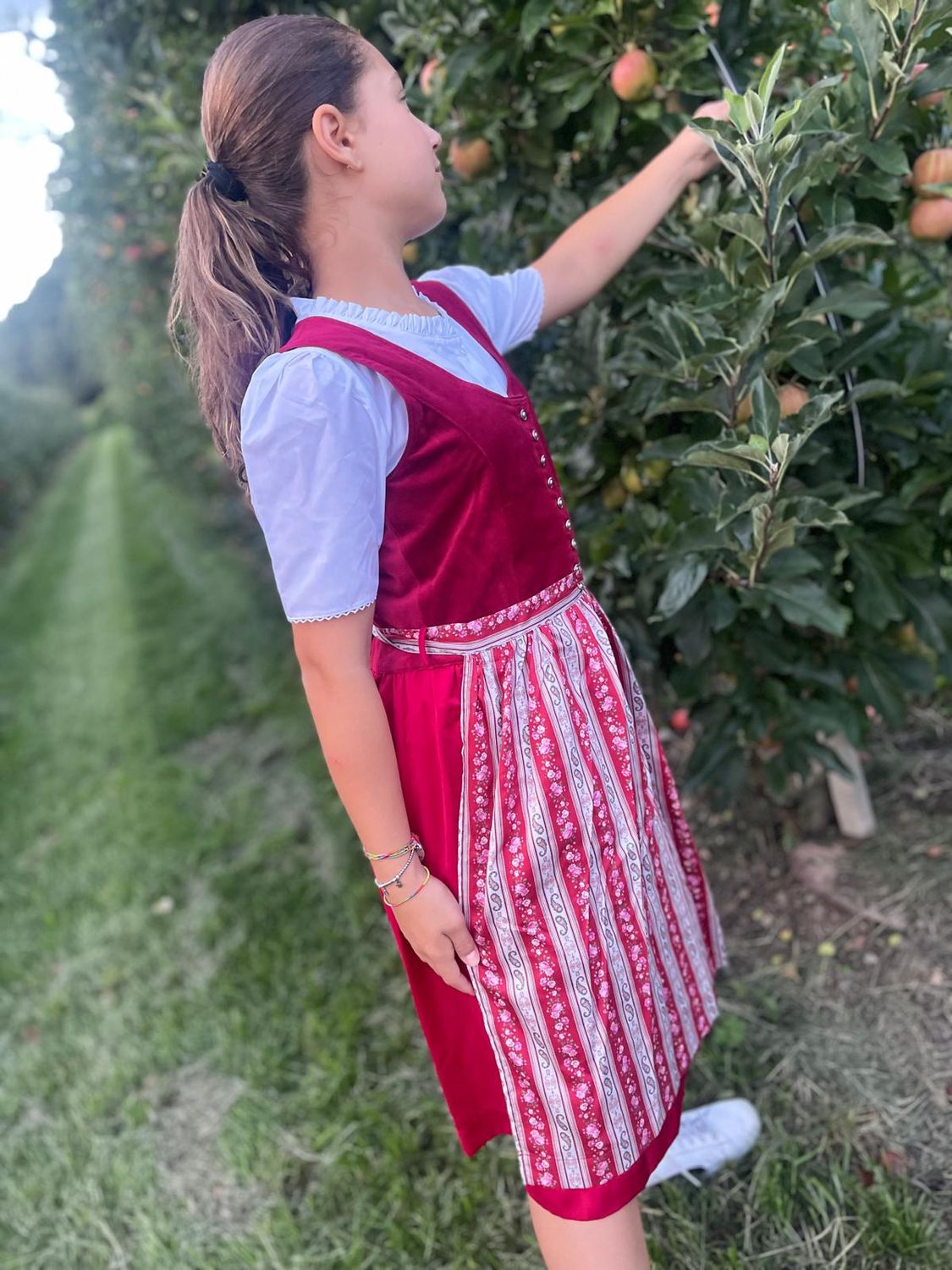 Gala € 99,00 Gala € 99,00