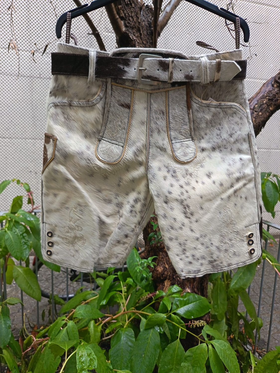 Kuhfellhose Hafling 48 € 299,00