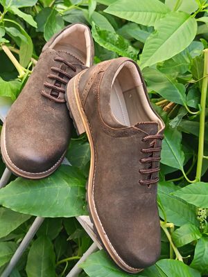 Clove  € 99,00