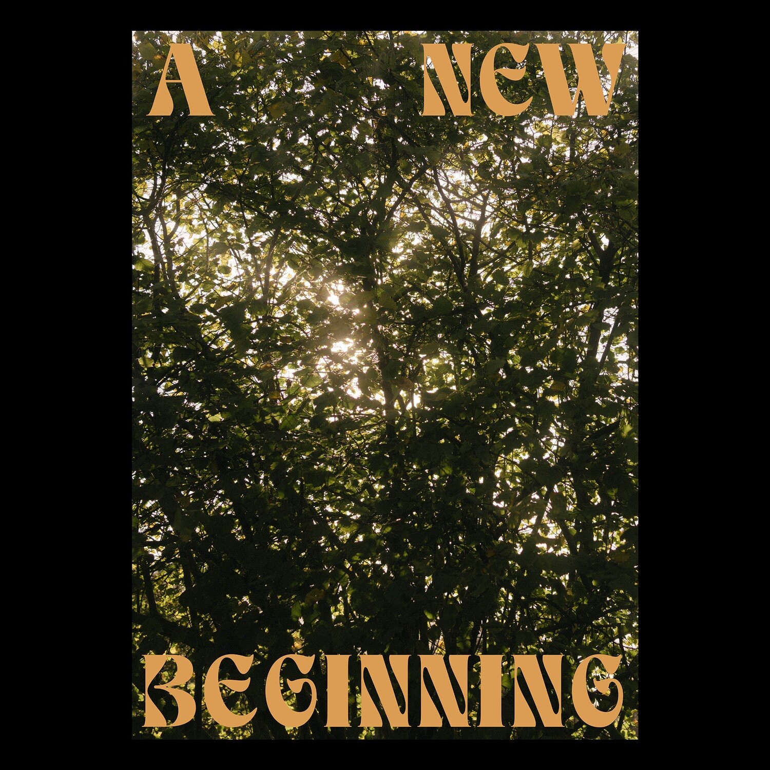 A New Beginning Print