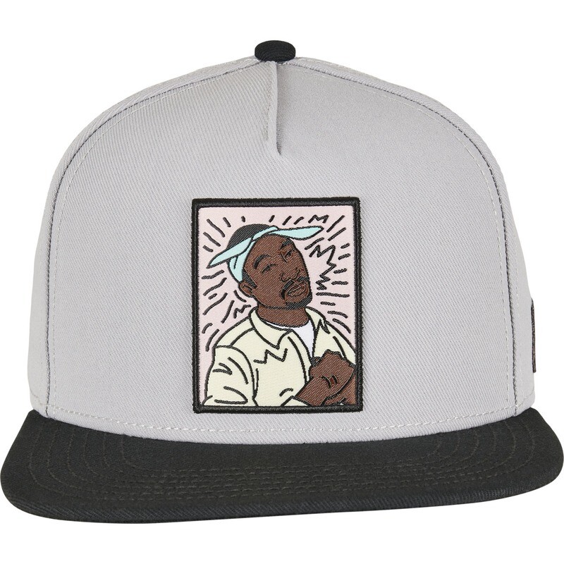 C&amp;S WL 2Pac Lines Snapback