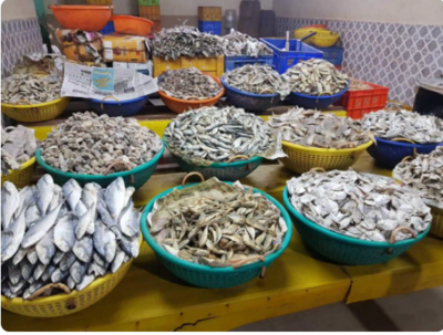 Dry Fish