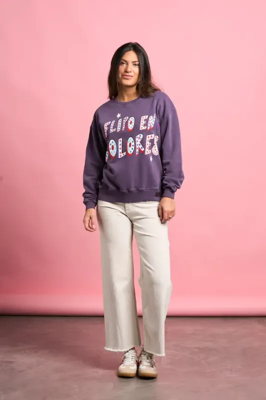 SUDADERA FLIPO EN COLORES