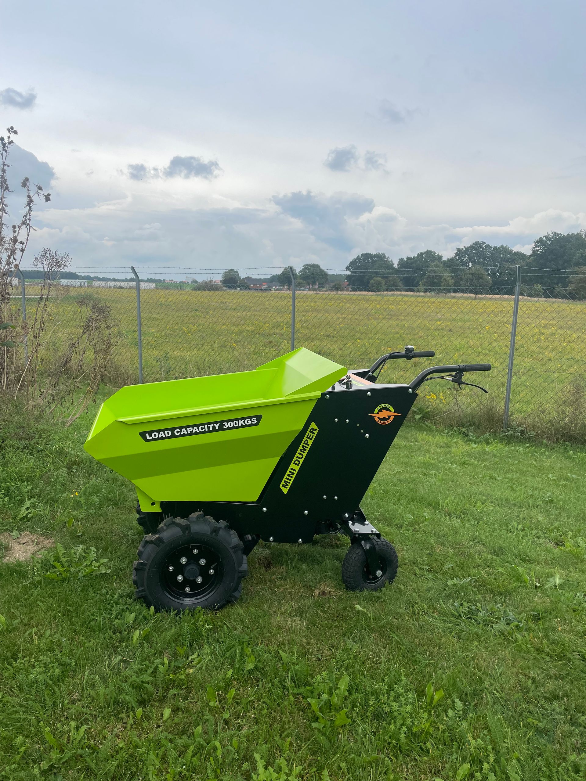 Mini Dumper bis 300kg Elektro