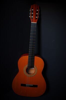 Cremona Klassieke gitaar