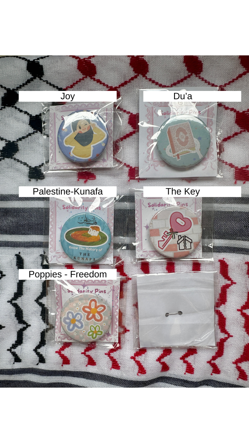 Solidarity Pins