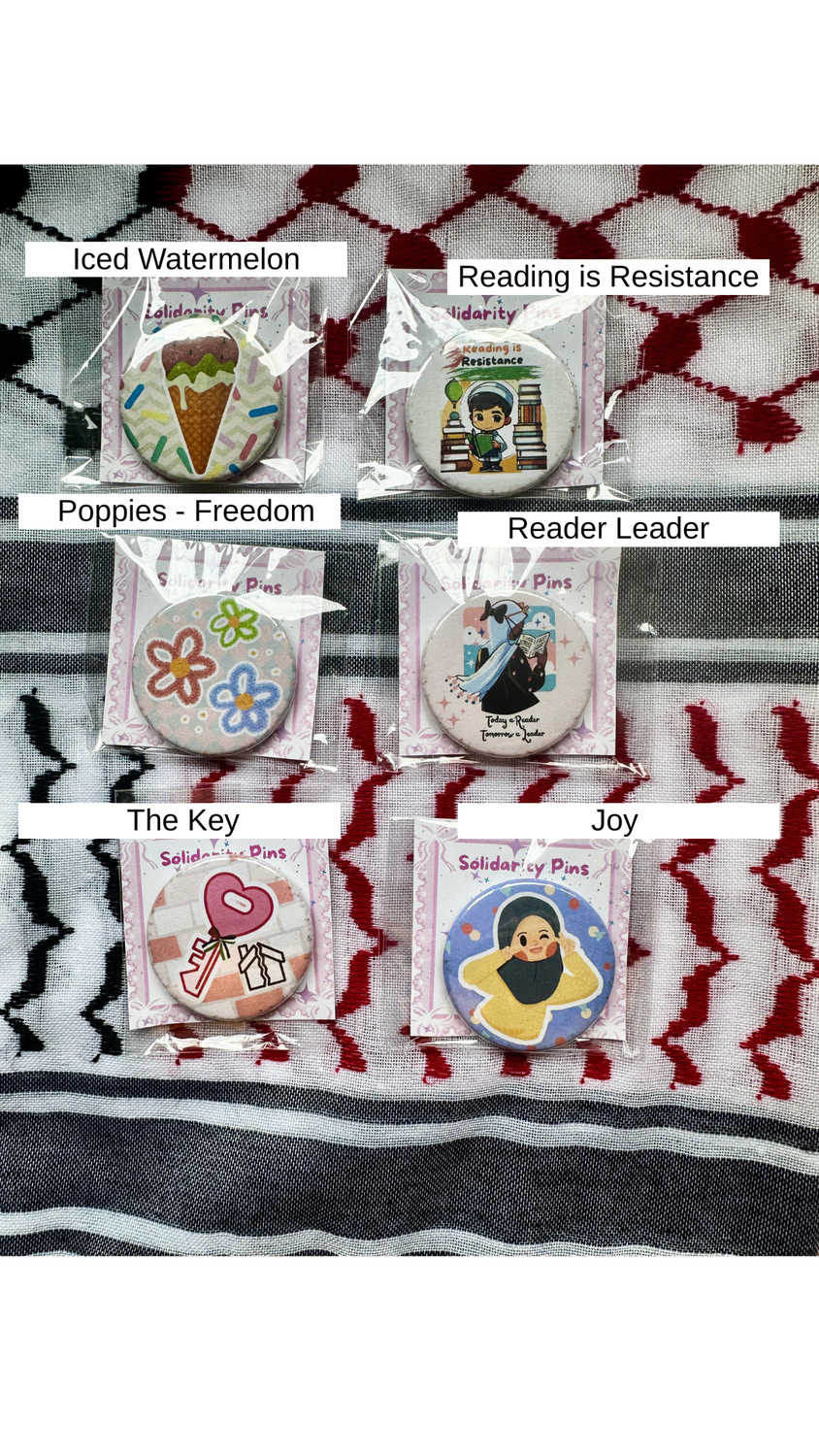 Solidarity Magnets