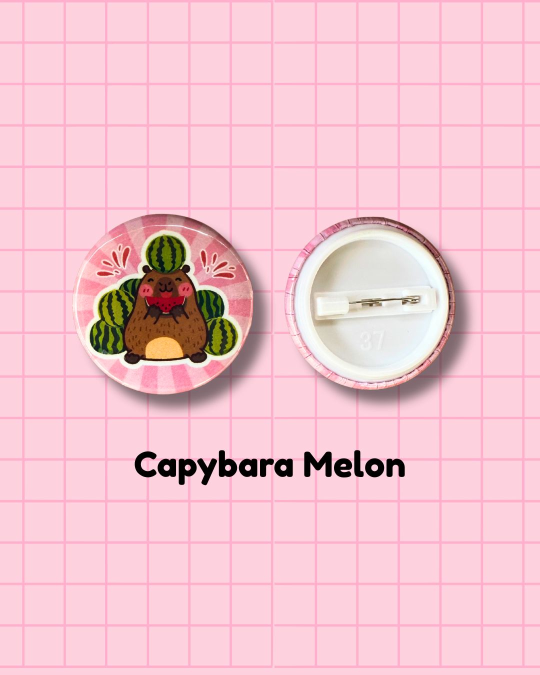 Solidarity Pins