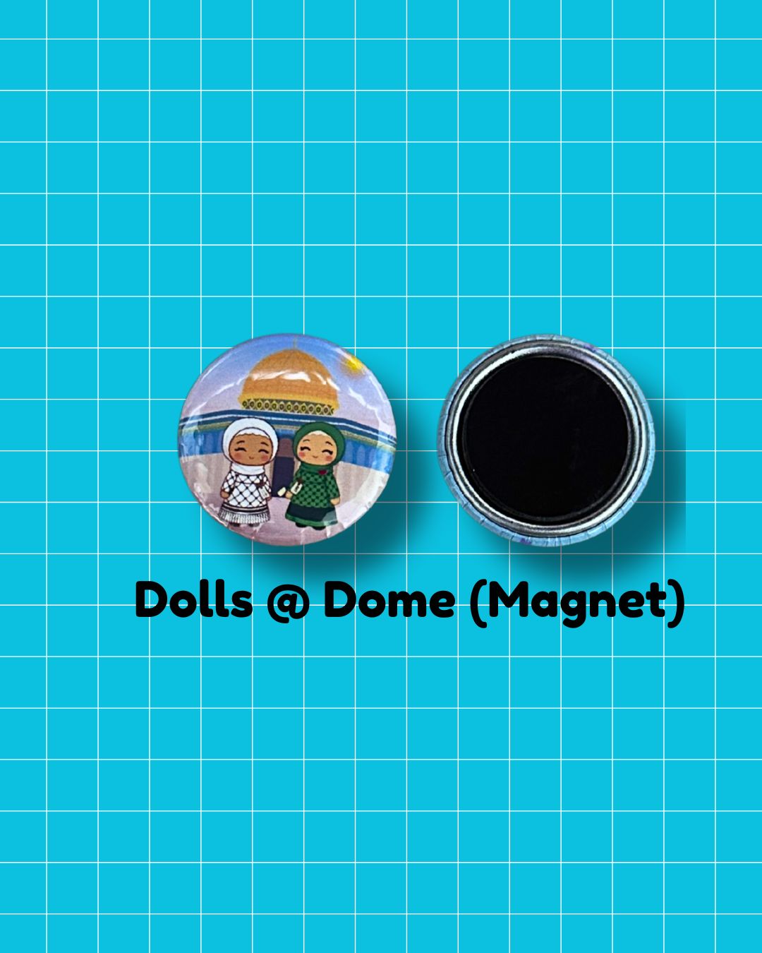 Solidarity Magnets