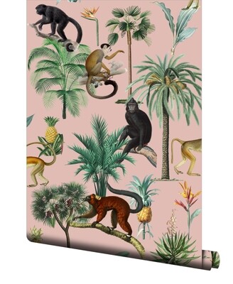 Primate Wallpaper