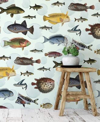 Shoal Wallpaper