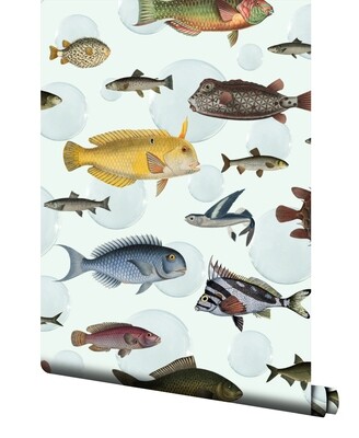 Shoal Wallpaper