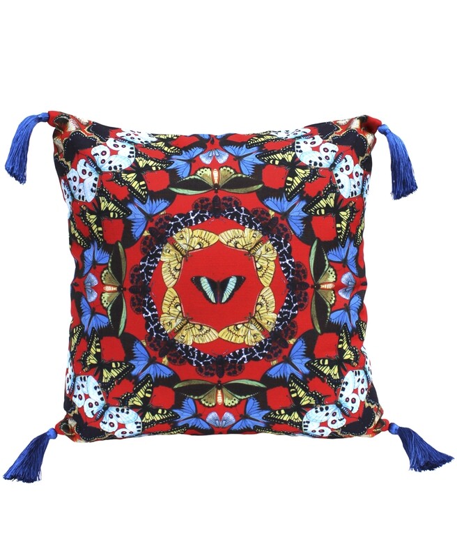 Metamorphosis Throw Pillow