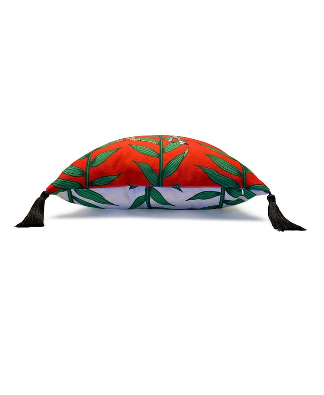 Zebriger Throw Pillow