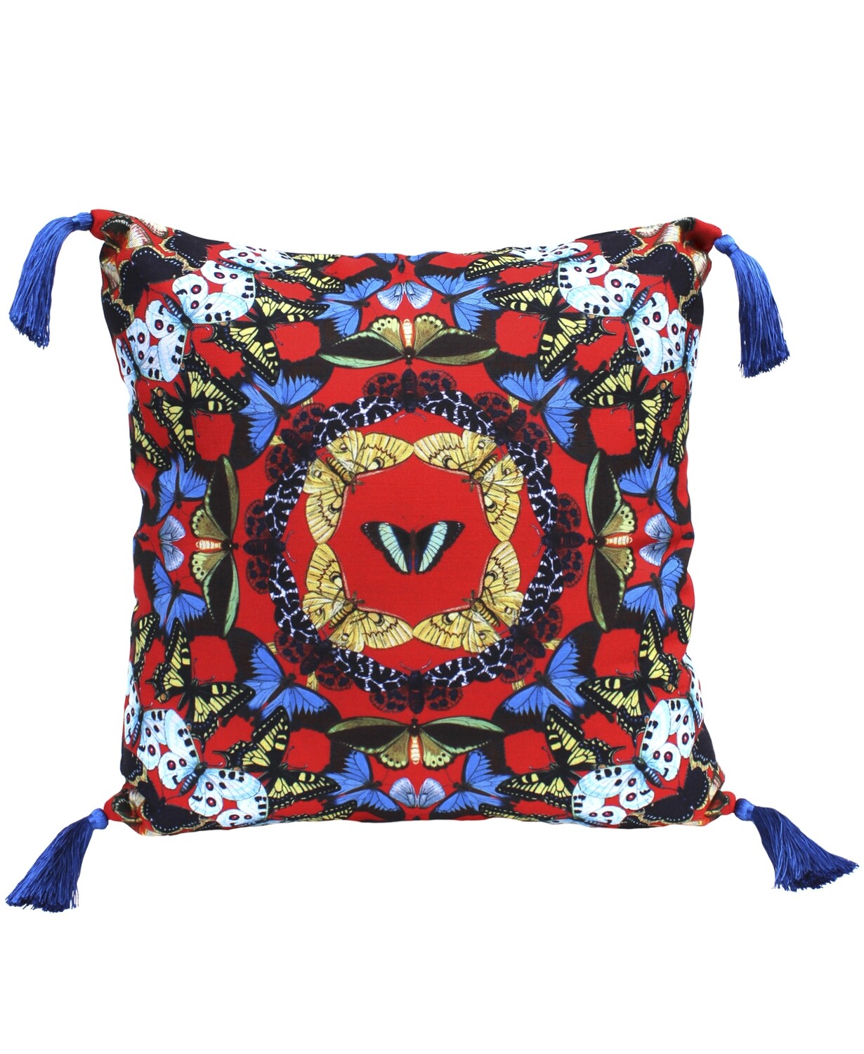 Metamorphosis Throw Pillow