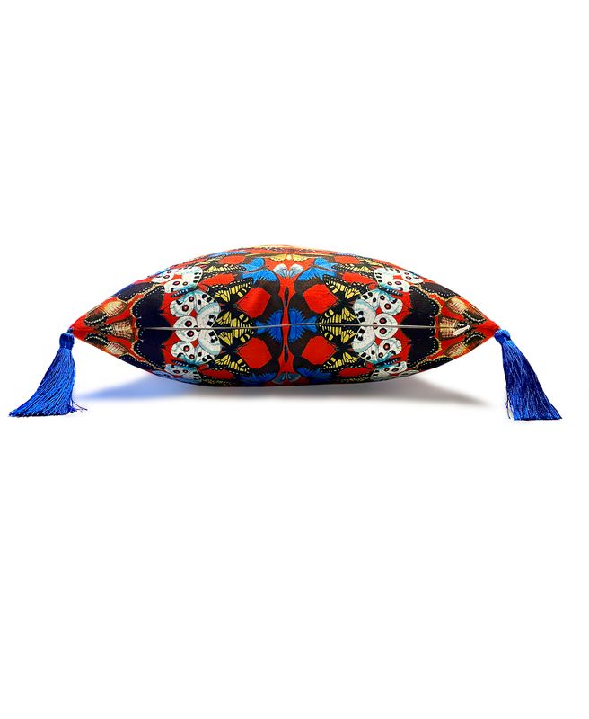 Metamorphosis Throw Pillow