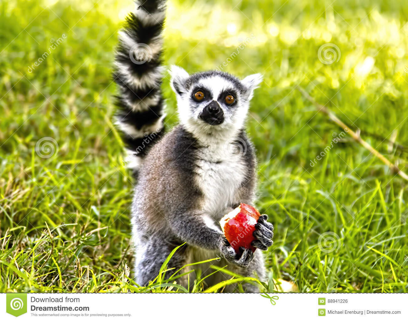 Deposit for Apple Picking