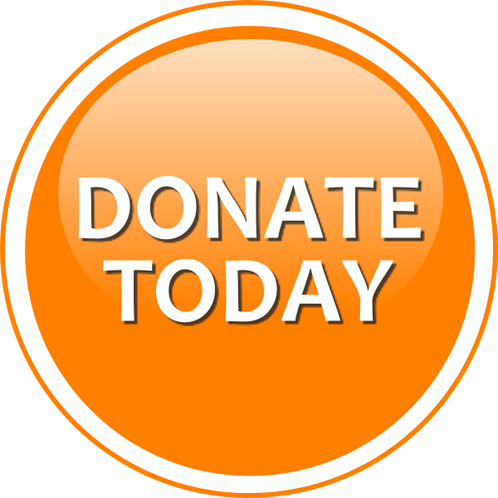 Festival Donation