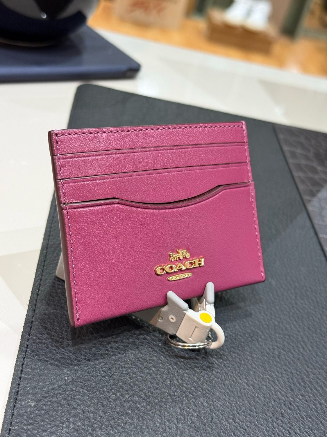 TARJETERO COACH MUJER