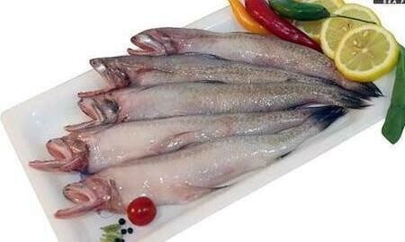 Bombay Duck (Bombil)