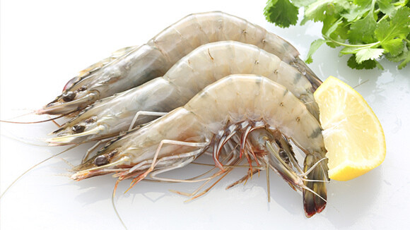 Prawns