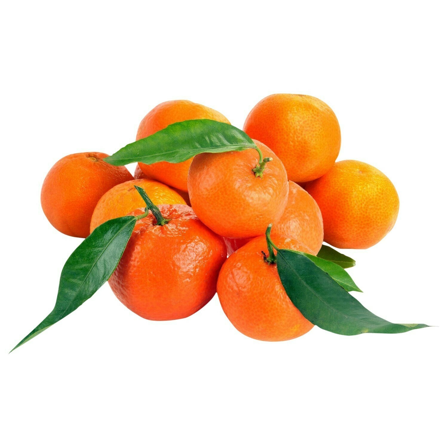 Clementine feuille sans pépin (non traitée)