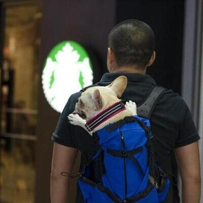 Outdoor Portable Pet Backpack