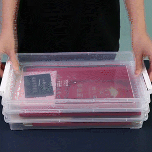 Transparent File Storage Box