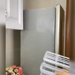 Refrigerator Side Wall Storage Rack