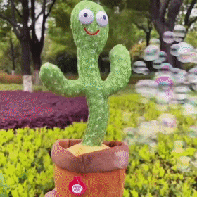 Funny Dancing Cactus