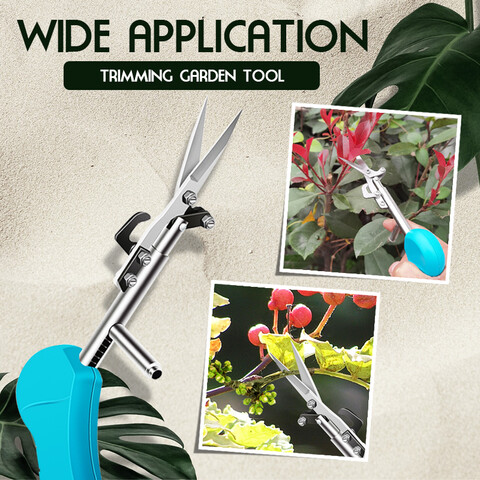 scissors to cut plants